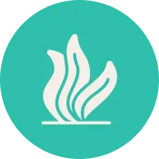 Digital X-Rays at Dentistry For Children in Sandy and West Valley City, Utah